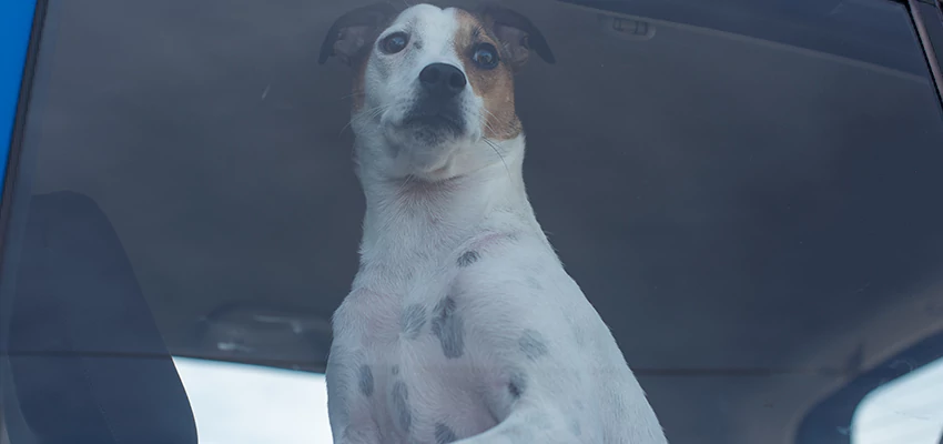 Car Lockout Solutions in Hanford, California